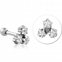 Stars with zircons - ear  -...