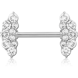 Frill with zirconia -...