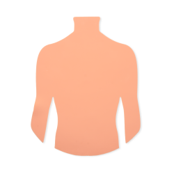 PRACTICE SKIN - BACKPIECE