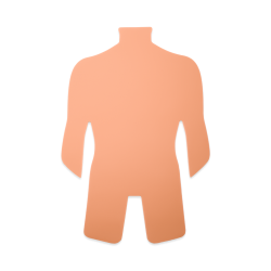 PRACTICE SKIN - FULL BACK