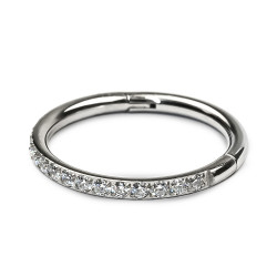 CLICKER WITH ZIRCONS