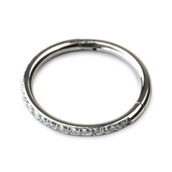 CLICKER WITH ZIRCONS