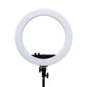 lampa-ring440statyw-sr44cm