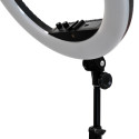 lampa-ring440statyw-sr44cm