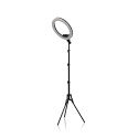 lampa-ring440statyw-sr44cm