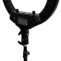 lampa-ring360-sr36cm