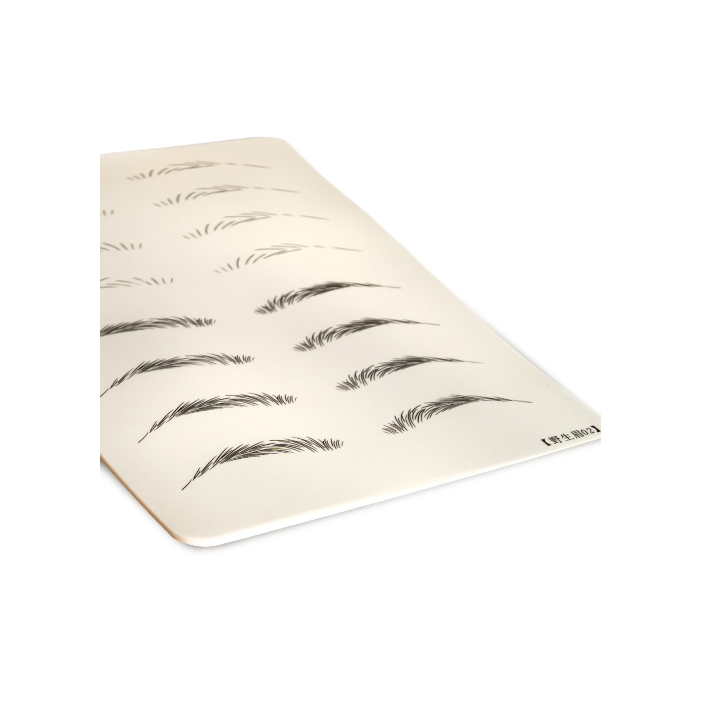 Exercise skin - Eyebrows Exercise skin - Eyebrows