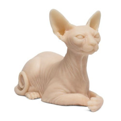 Silicone cat to exercise SPHINX