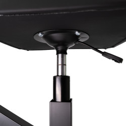 Multifunctional stool with...