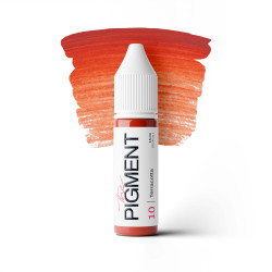 The Pigment - 10 Terracotta...
