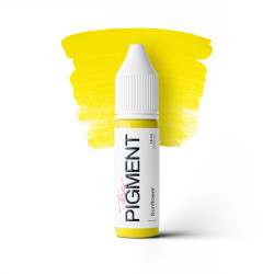The Pigment - Modifier...