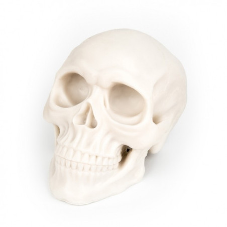 Silikonowa czaszka do ćwiczeń - Silicone skull